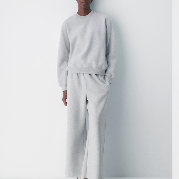 Aritzia Cozy Sweatfleece Perfect Crew – Grey (Size L) - Picture 4 of 4